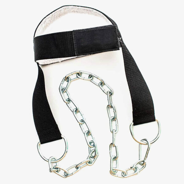Head Harness
