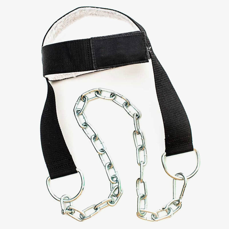 Head Harness