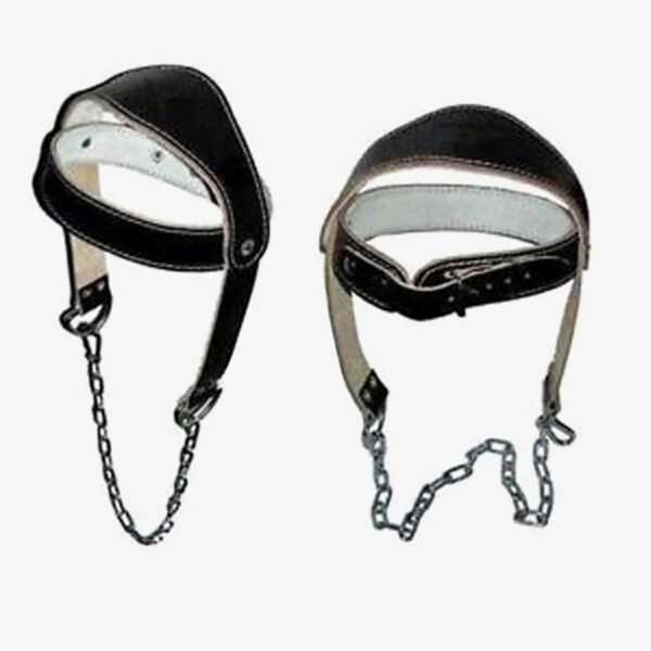 Head Harness
