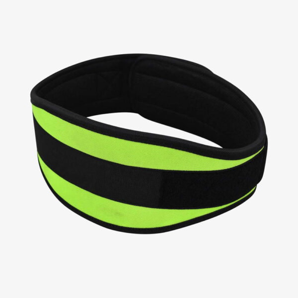 Gym Belts